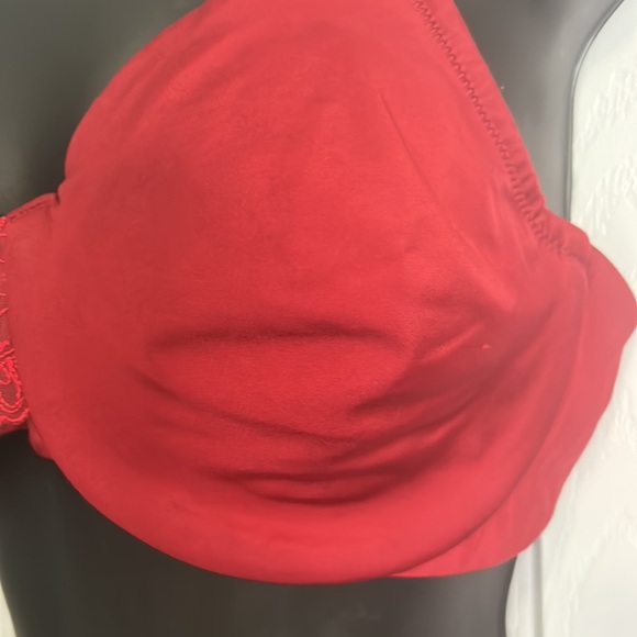 Olga Bra - Picture 2 of 7